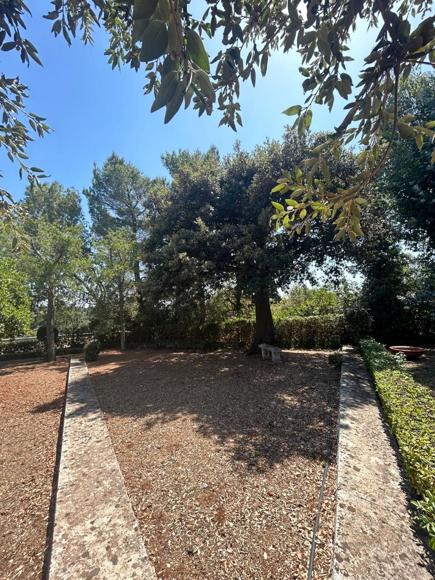 Villa San Michele By Sthey Impalata Εξωτερικό φωτογραφία
