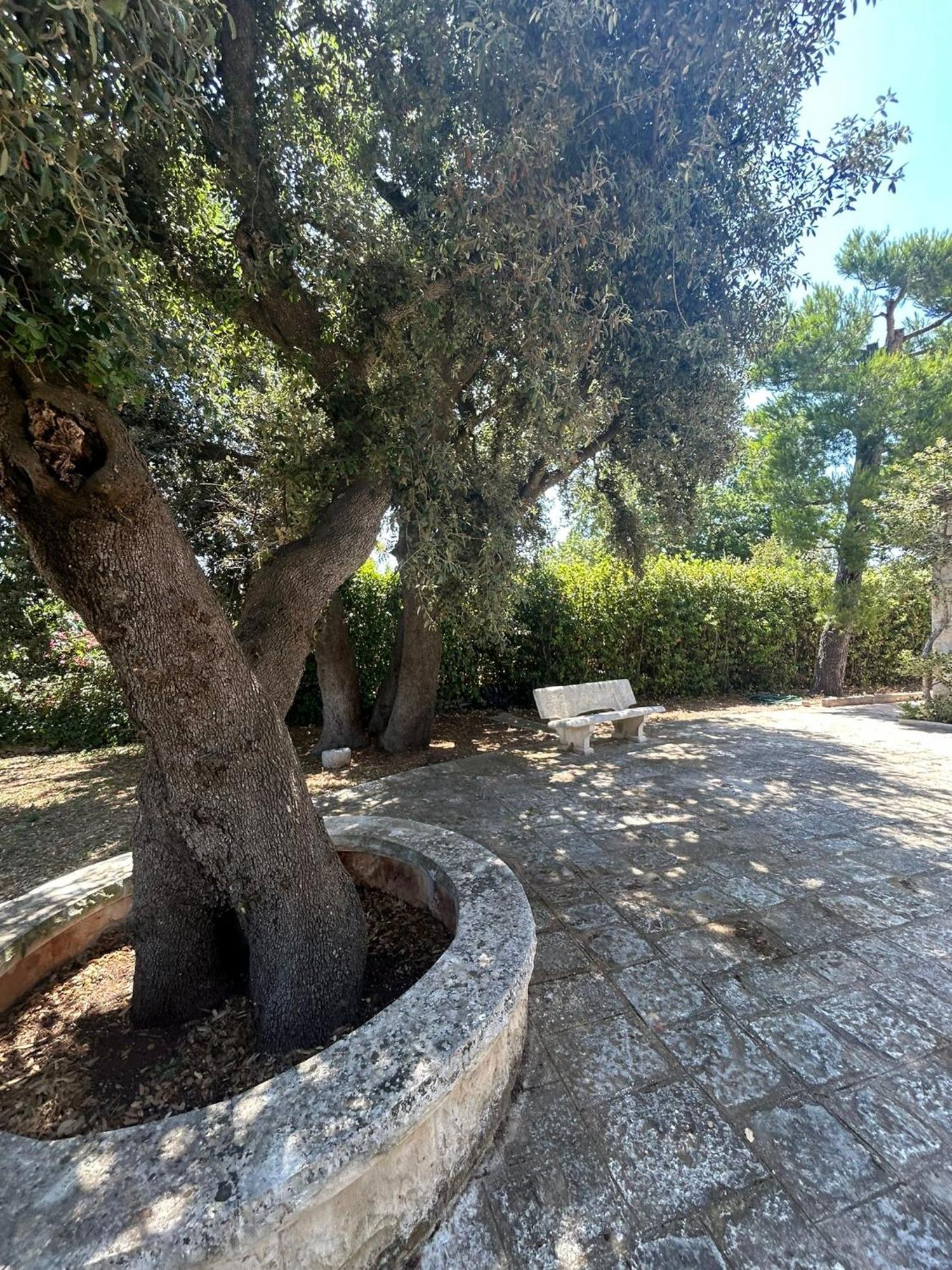 Villa San Michele By Sthey Impalata Εξωτερικό φωτογραφία